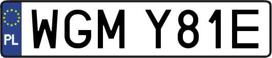 WGMY81E