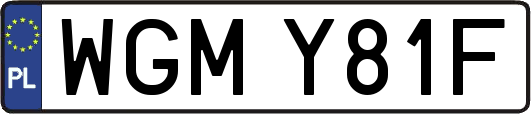 WGMY81F