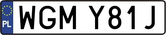 WGMY81J
