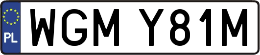 WGMY81M