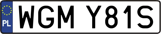 WGMY81S