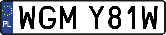 WGMY81W
