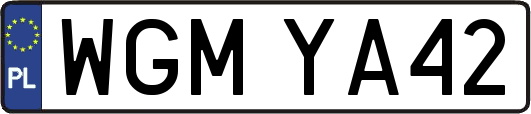 WGMYA42