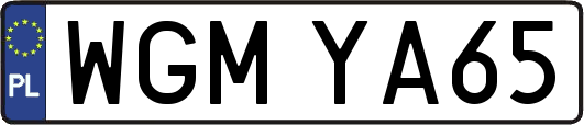 WGMYA65
