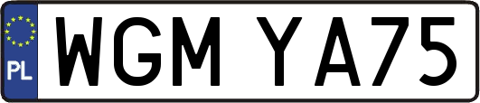WGMYA75