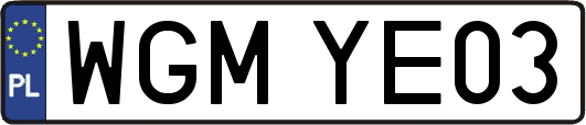 WGMYE03