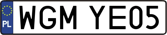 WGMYE05