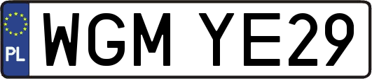 WGMYE29