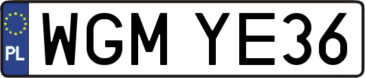 WGMYE36