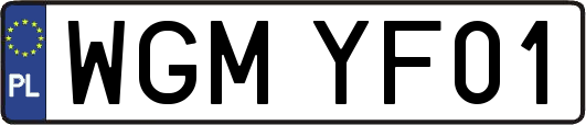 WGMYF01