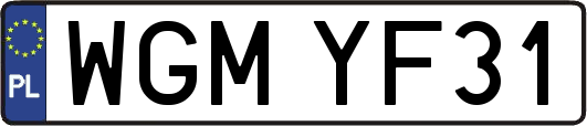 WGMYF31