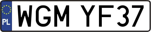 WGMYF37