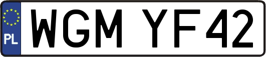 WGMYF42