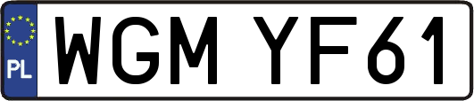 WGMYF61