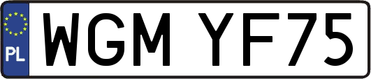 WGMYF75