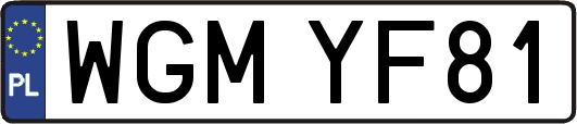 WGMYF81