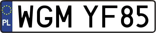 WGMYF85