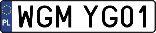 WGMYG01