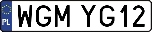 WGMYG12