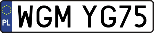 WGMYG75