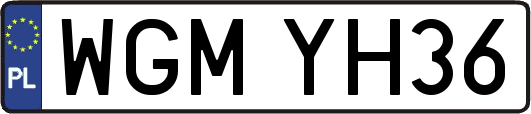 WGMYH36