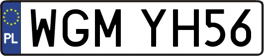 WGMYH56