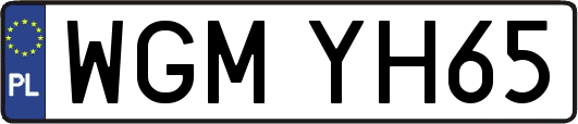 WGMYH65