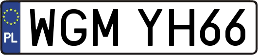 WGMYH66
