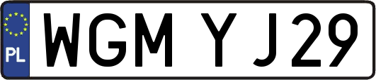 WGMYJ29