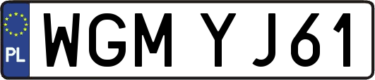WGMYJ61