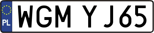 WGMYJ65