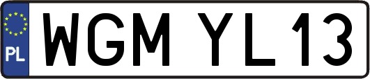 WGMYL13