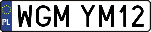 WGMYM12