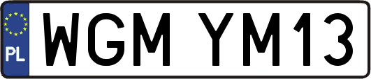 WGMYM13