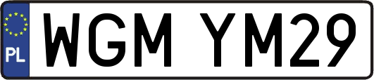 WGMYM29