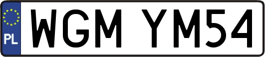 WGMYM54