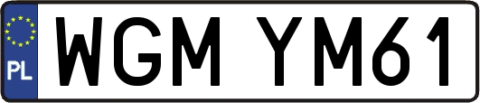 WGMYM61