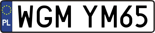 WGMYM65