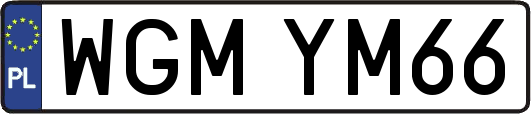 WGMYM66