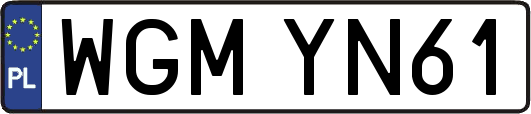 WGMYN61