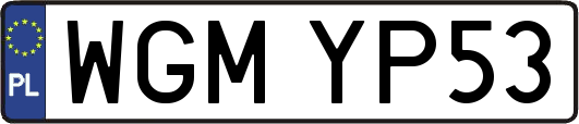 WGMYP53