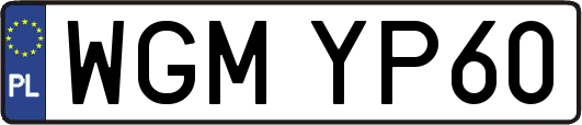 WGMYP60