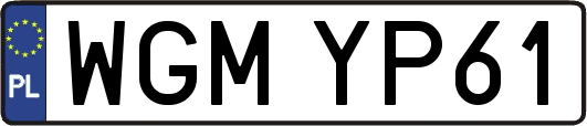 WGMYP61