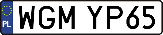 WGMYP65