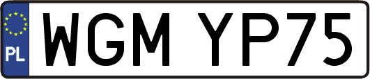 WGMYP75