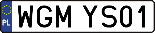 WGMYS01