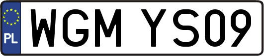 WGMYS09