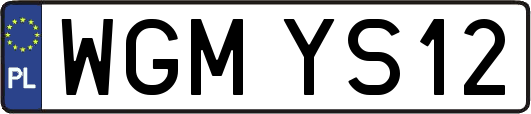 WGMYS12
