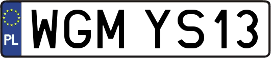 WGMYS13