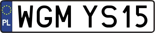 WGMYS15